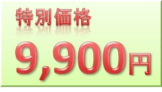 price99_3.jpg